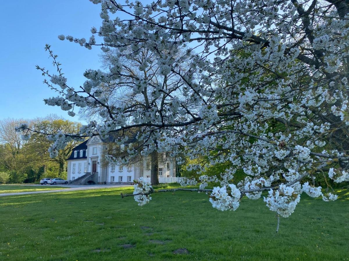 Rosenlund Gods - Kaelder B&B Sakskøbing Екстериор снимка