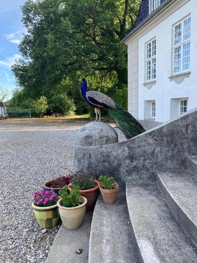 Rosenlund Gods - Kaelder B&B Sakskøbing Екстериор снимка